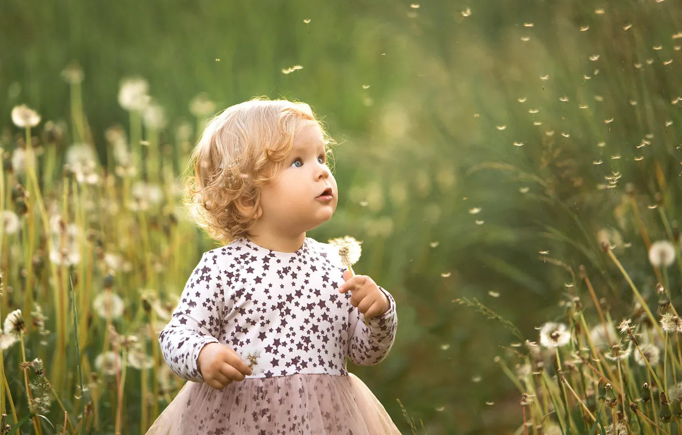 Photo wallpaper summer, dandelion, surprise, girl