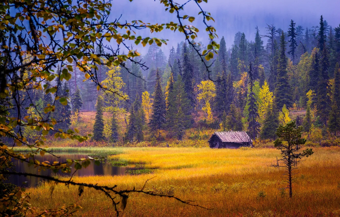 Photo wallpaper autumn, forest, the colors of autumn, Finland, Finland, lake, sheds