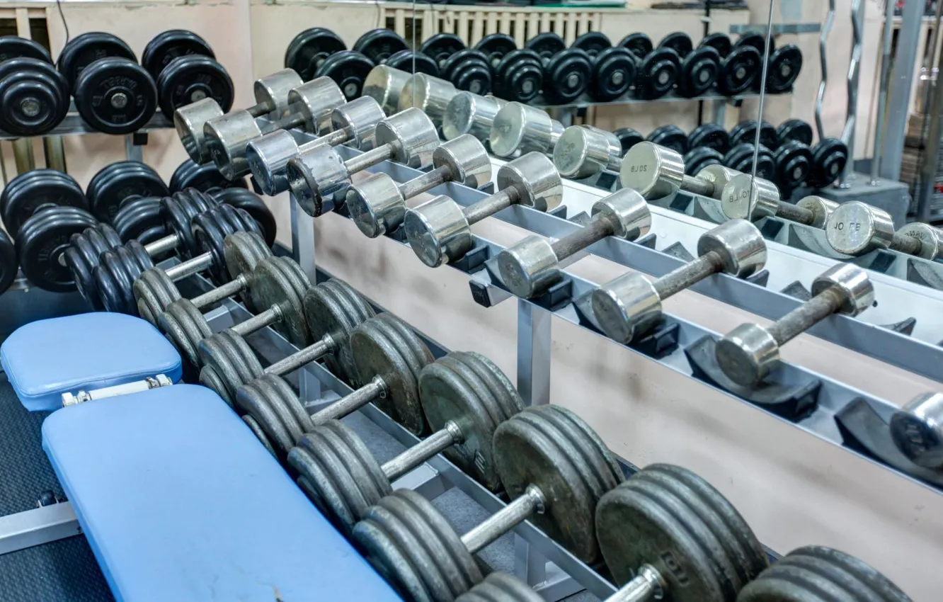Photo wallpaper dumbbells, gym, weight