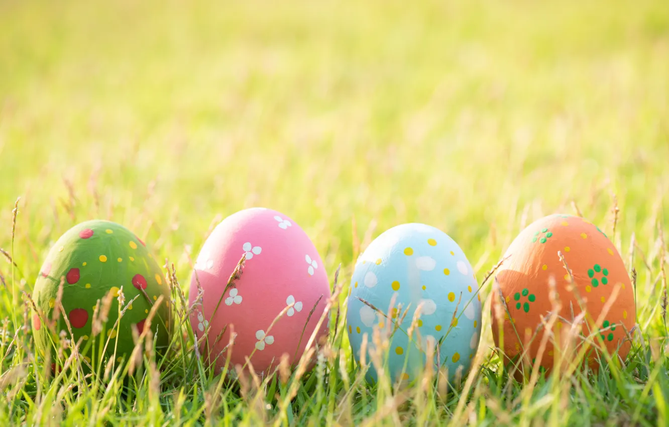 Photo wallpaper grass, eggs, spring, colorful, Easter, grass, happy, spring