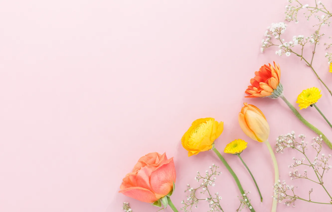 Photo wallpaper flowers, flowers, beautiful, spring, composition, tender, floral