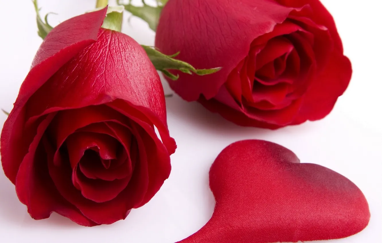 Photo wallpaper flowers, heart, buds, red roses