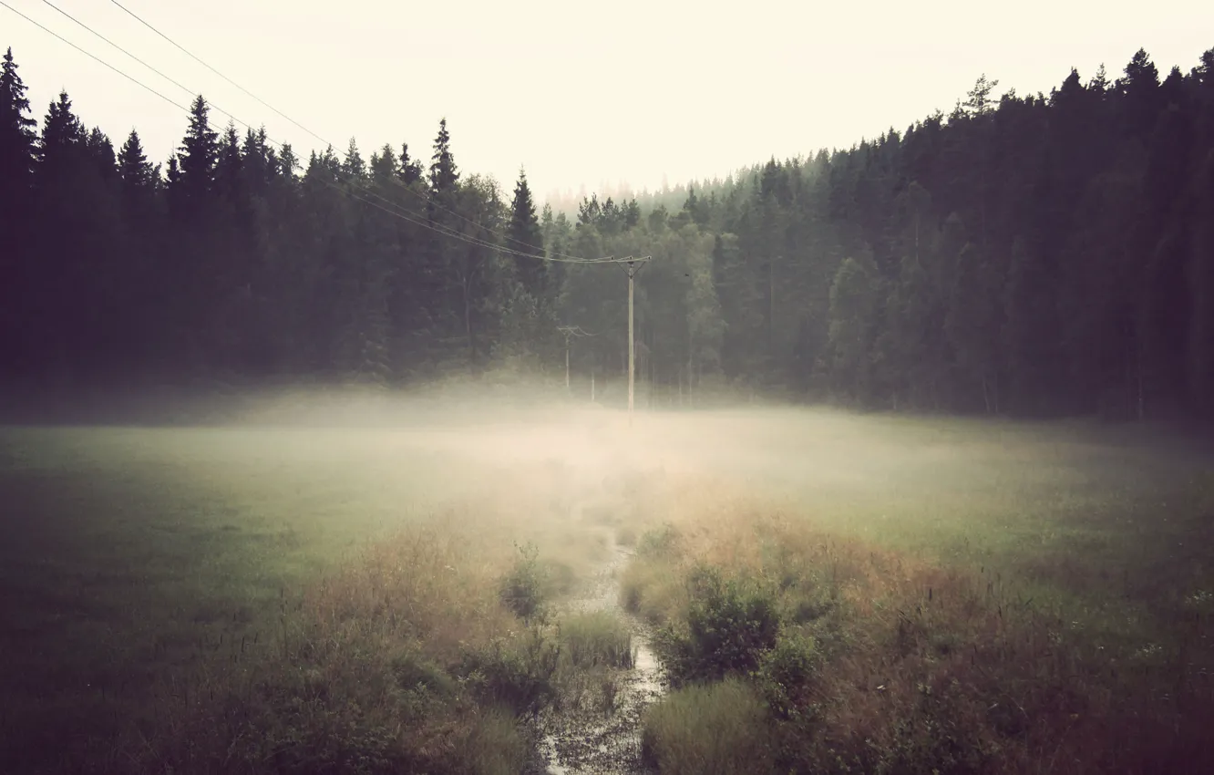 Photo wallpaper forest, fog, river