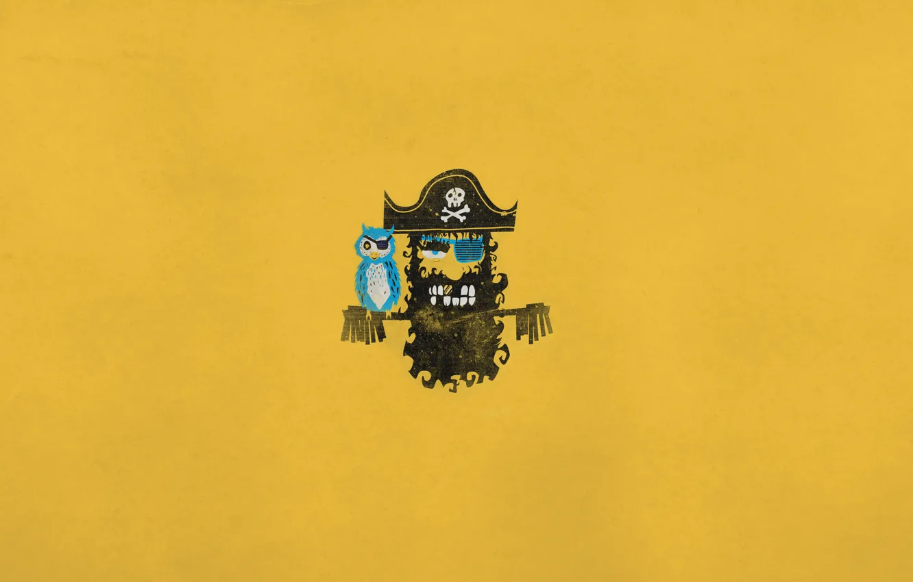 Photo wallpaper bird, skull, minimalism, hat, pirate, parrot, bones, headband