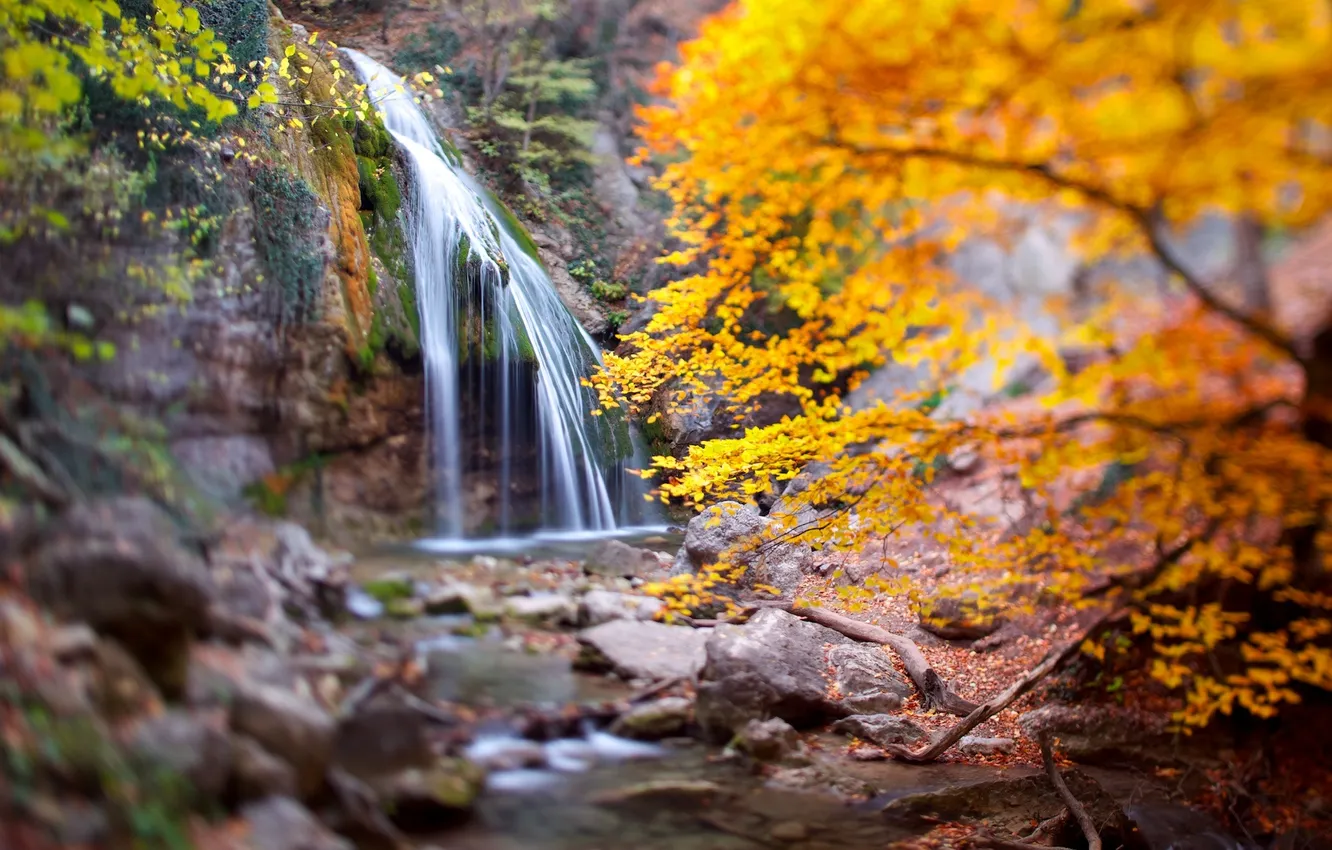 Photo wallpaper autumn, forest, nature, waterfall, Russia