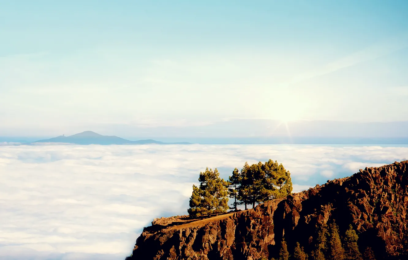 Photo wallpaper clouds, trees, mountains, open, rocks, view, height