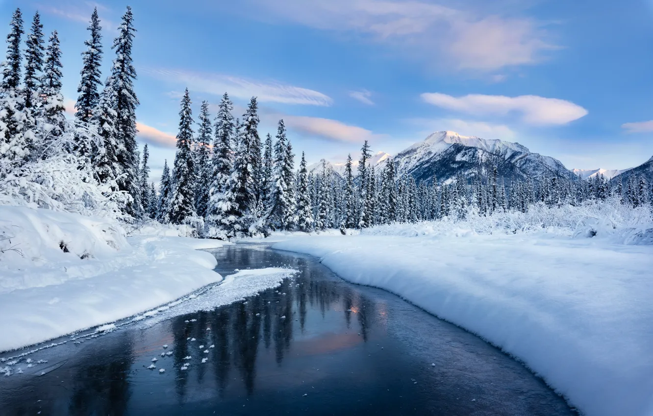 Photo wallpaper winter, forest, snow, mountains, river, the snow