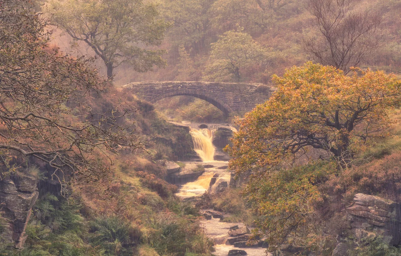 Photo wallpaper autumn, bridge, fog, river, stream, England, Derbyshire