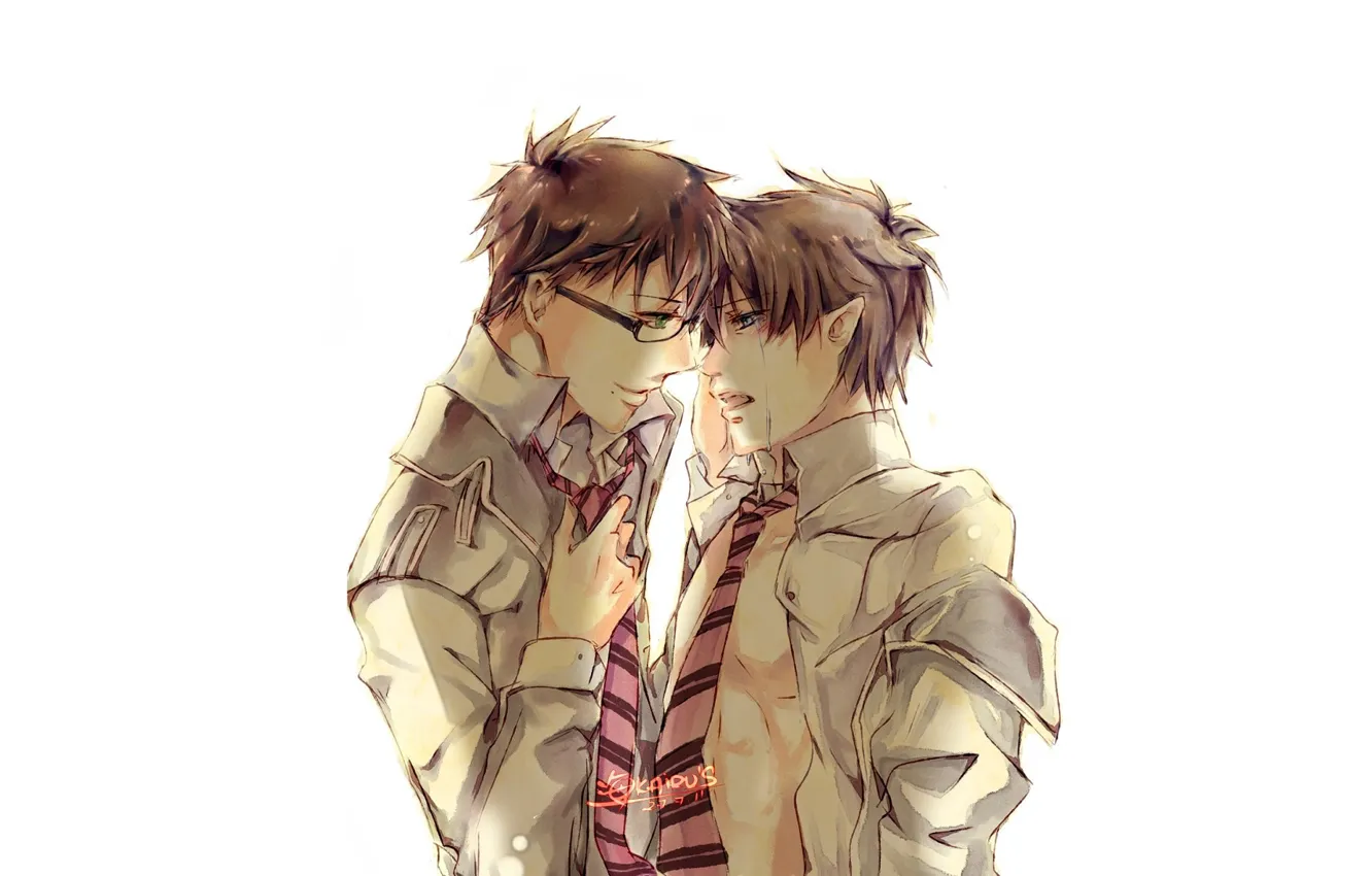 Photo wallpaper tears, brothers, Ao no Exorcist, Blue exorcist, Yukio Okumura, Rin Okumura