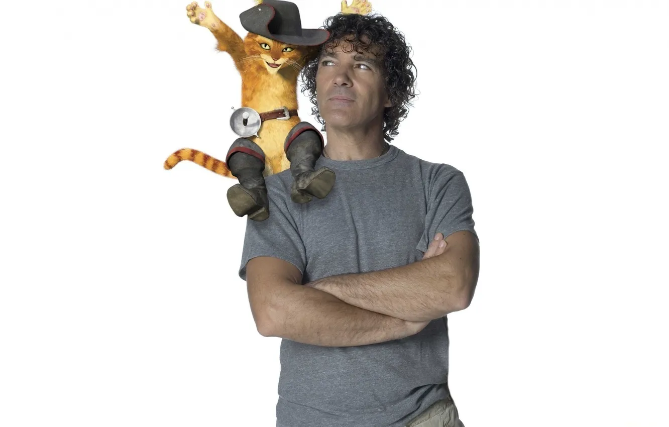 Photo wallpaper actor, puss in boots, puss in boots, antonio banderas, the voice of puss in boots, …