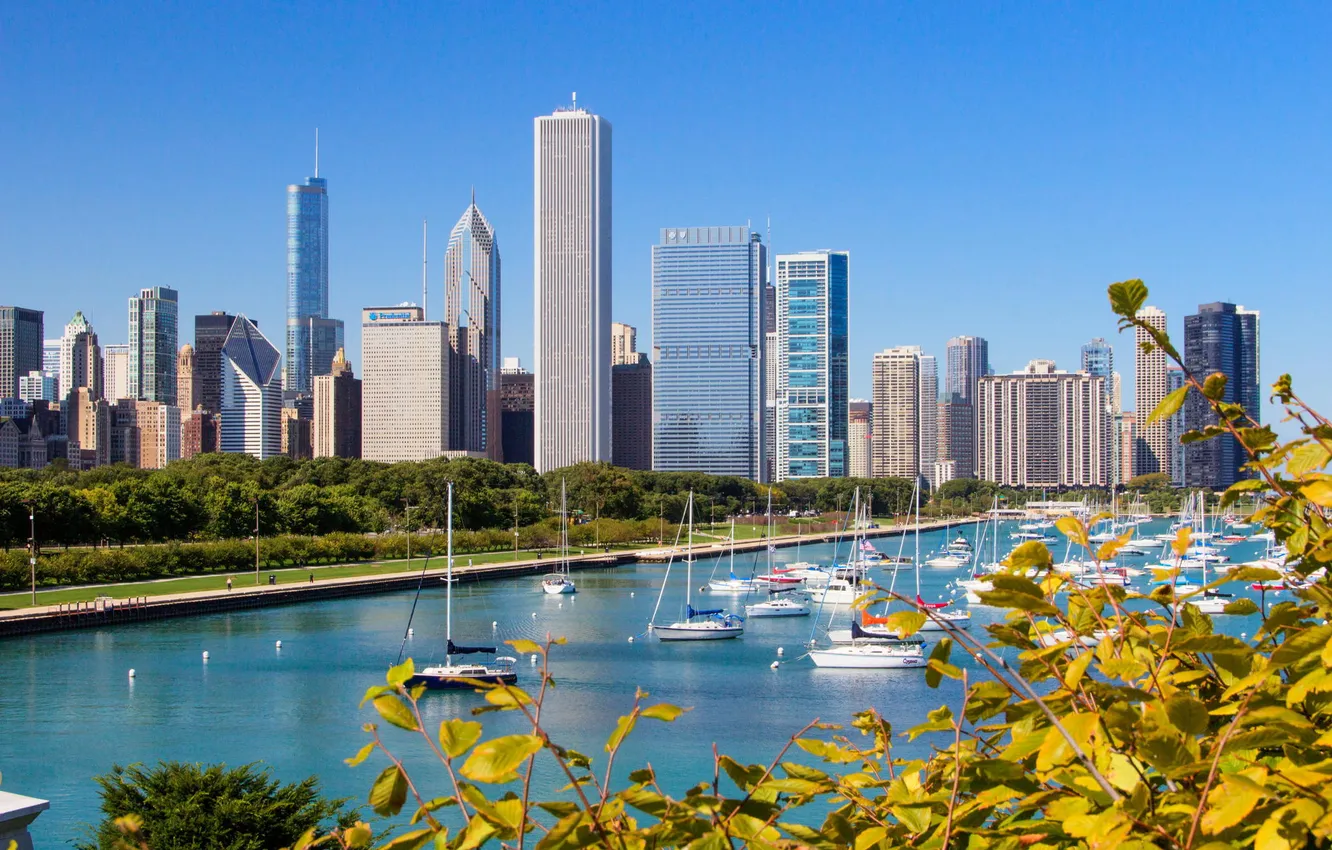 Photo wallpaper Yachts, Summer, Chicago, Skyscrapers, Building, America, Il, Chicago