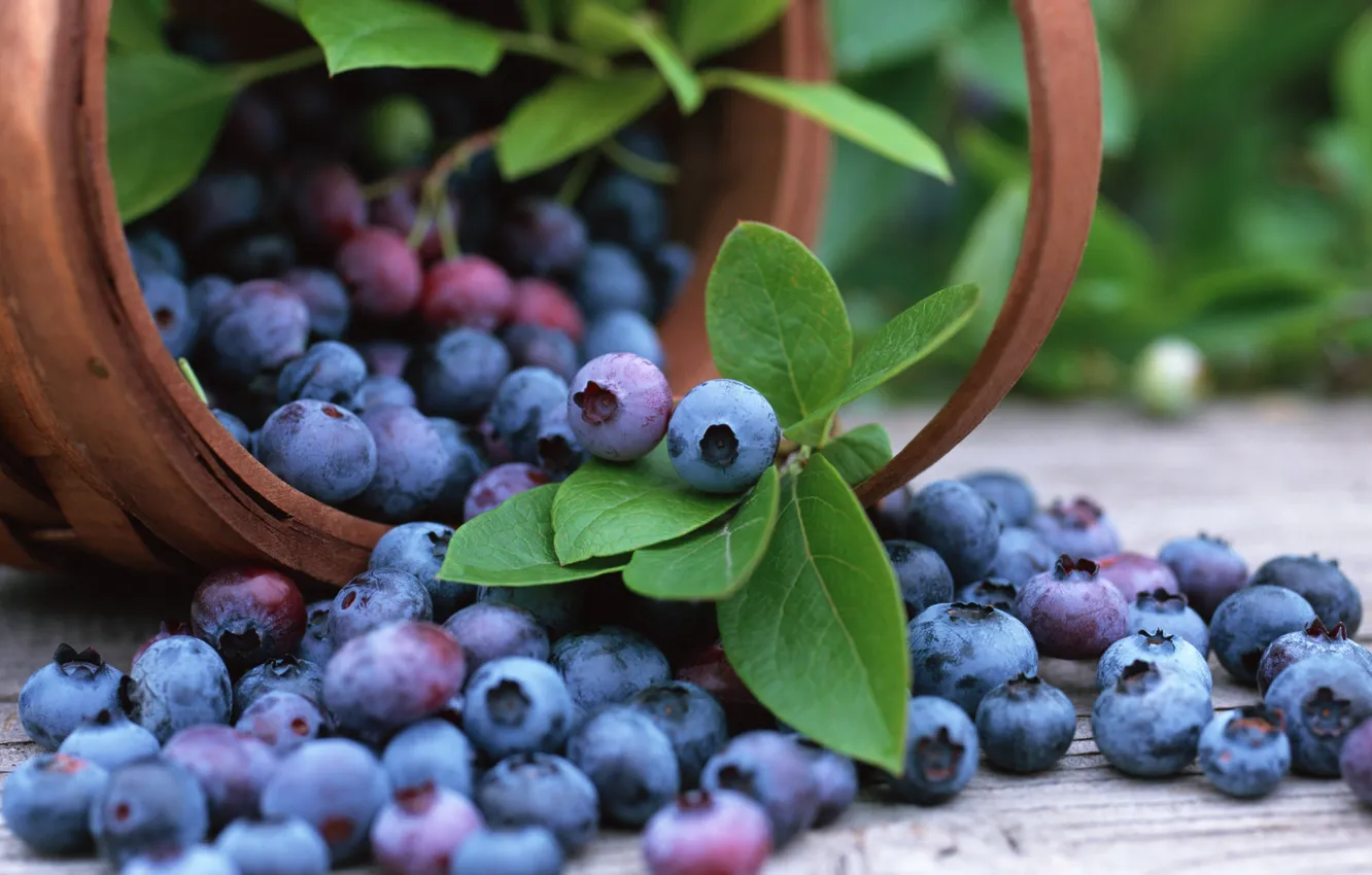 Photo wallpaper basket, blueberries, blueberry, fruits