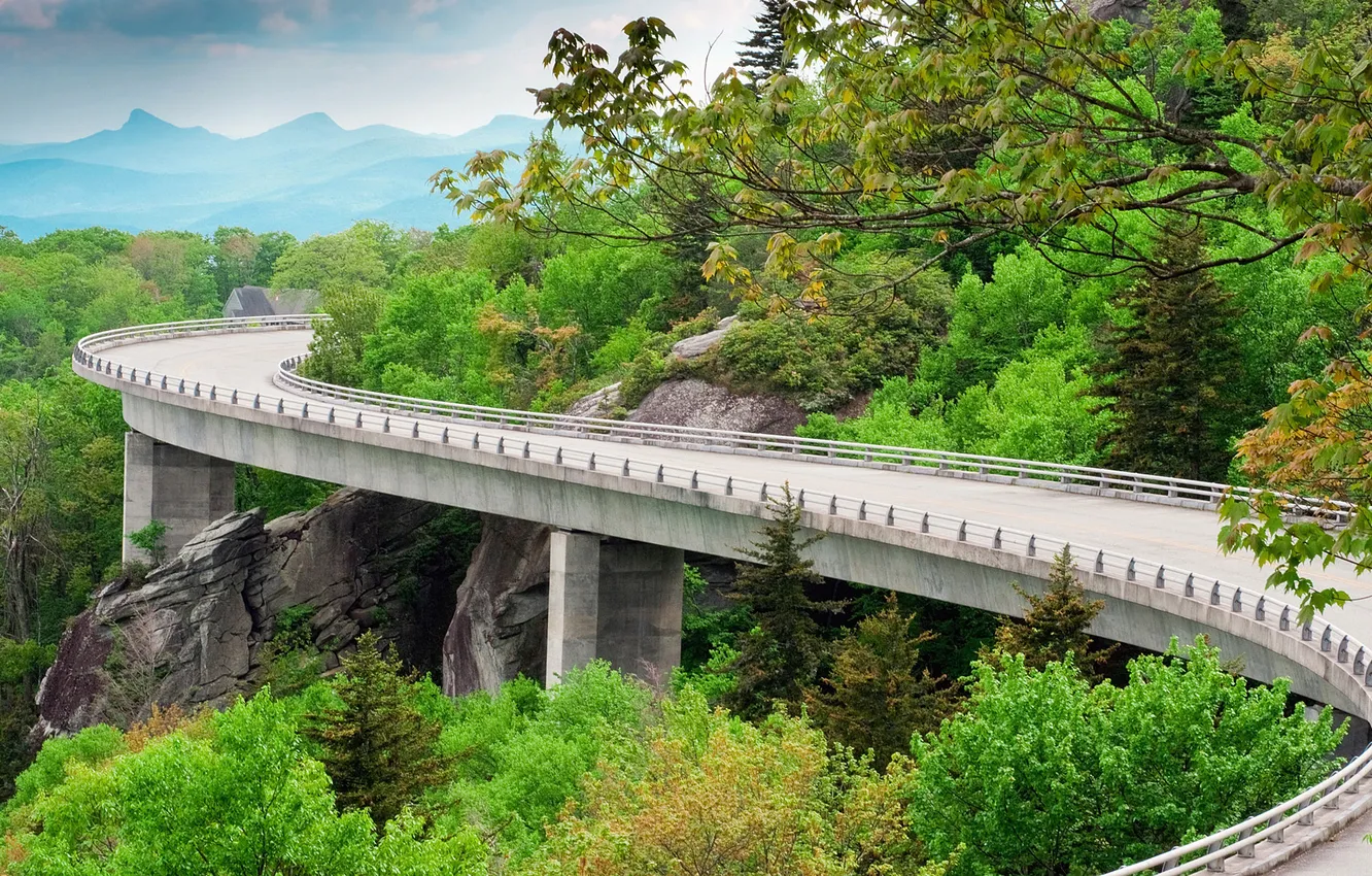 Photo wallpaper road, forest, landscape, bridge, nature