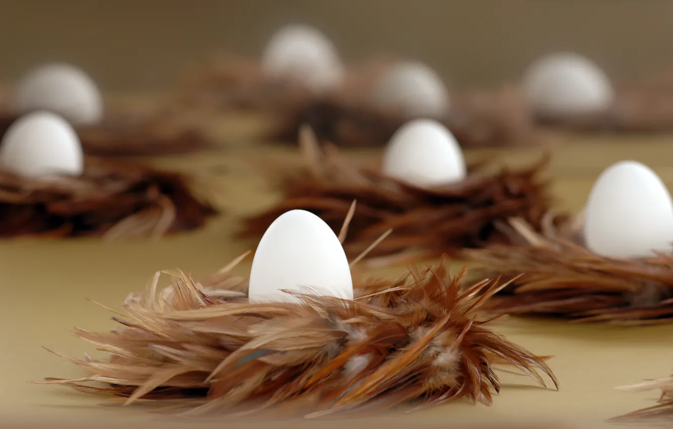 Photo wallpaper eggs, feathers, Easter