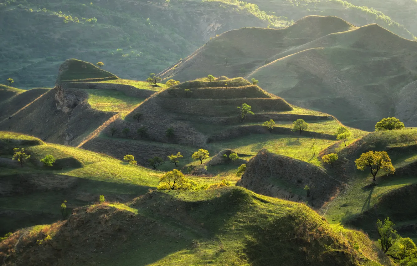 Photo wallpaper green, mountains, hills, Terrain