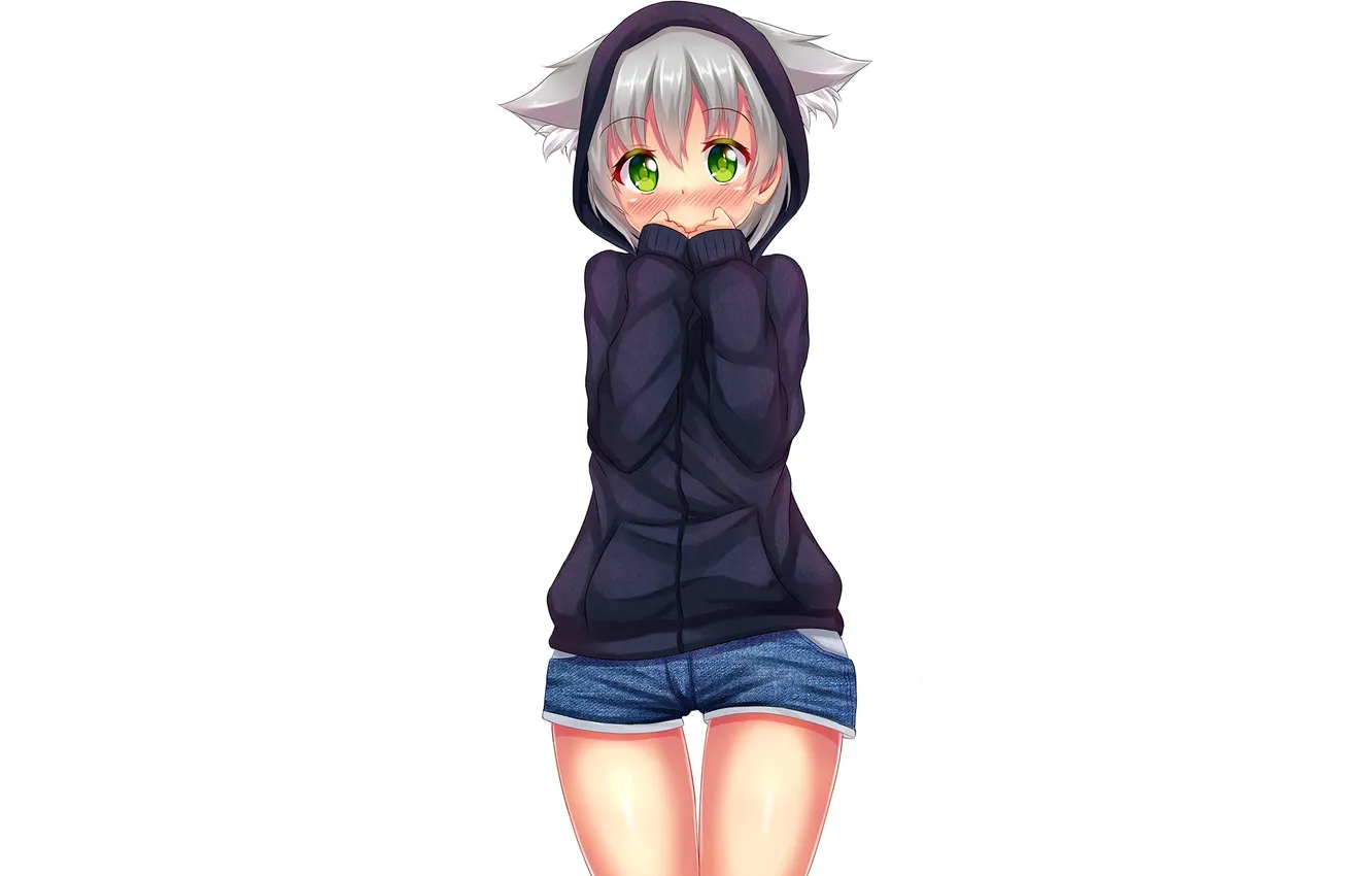 Photo wallpaper girl, anime, art, hood, ears, embarrassment, Fast-runner-2024
