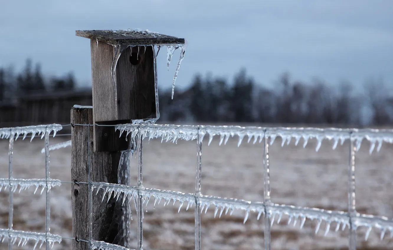 Photo wallpaper ice, nature, the fence