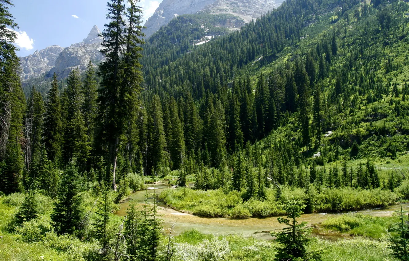 Photo wallpaper greens, forest, mountains, USA, river, Wyoming, Grand Teton National Park, Cascade Canyon