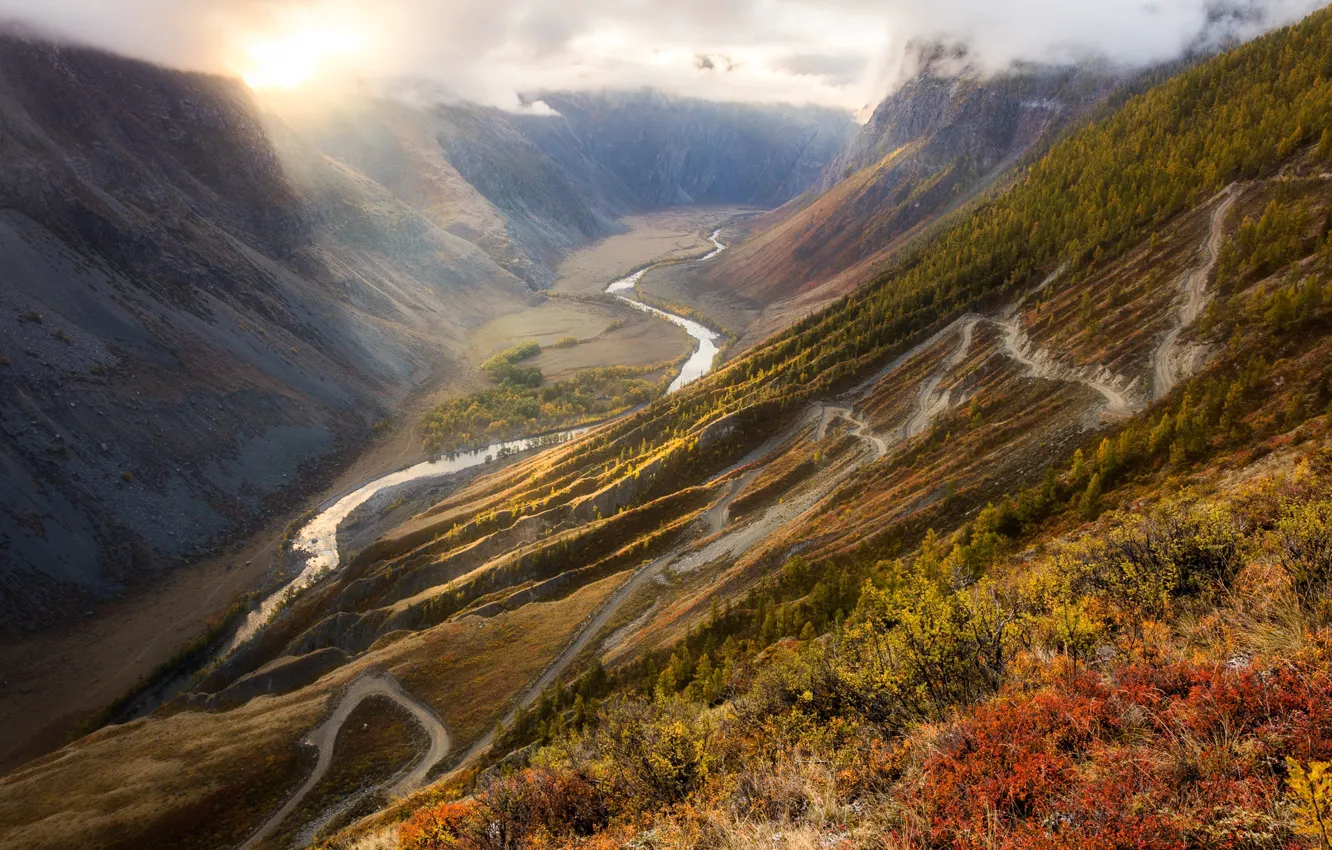 Photo wallpaper autumn, forest, the sun, light, mountains, river, hills, vegetation