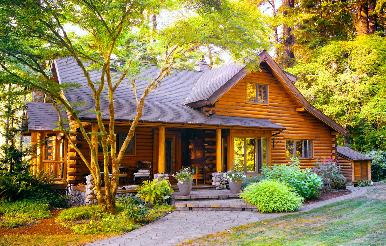 Photo wallpaper forest, summer, nature, wooden house, House In The Woods