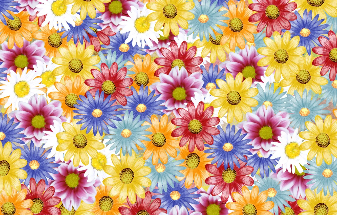 Photo wallpaper colorful, draws, Daisy