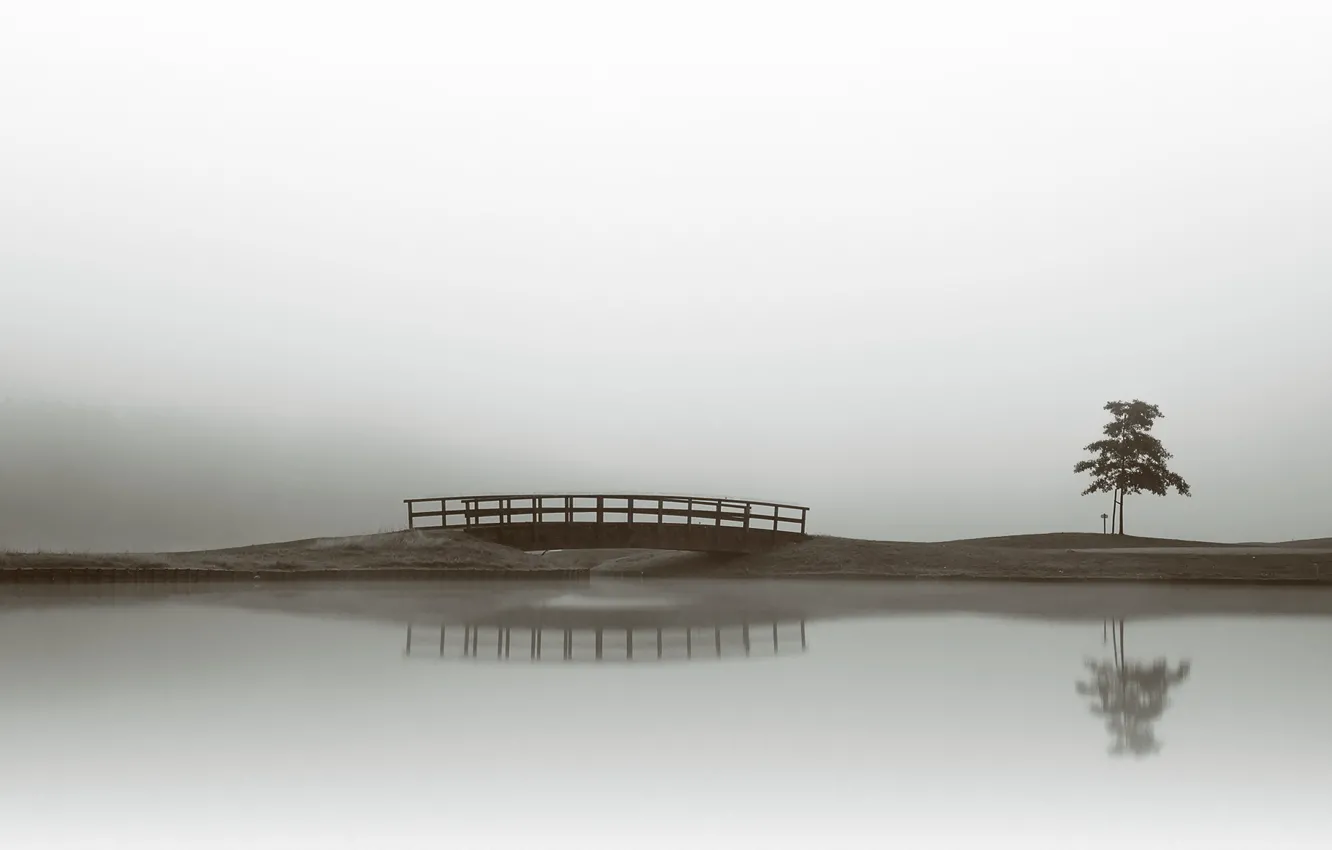 Photo wallpaper bridge, fog, tree