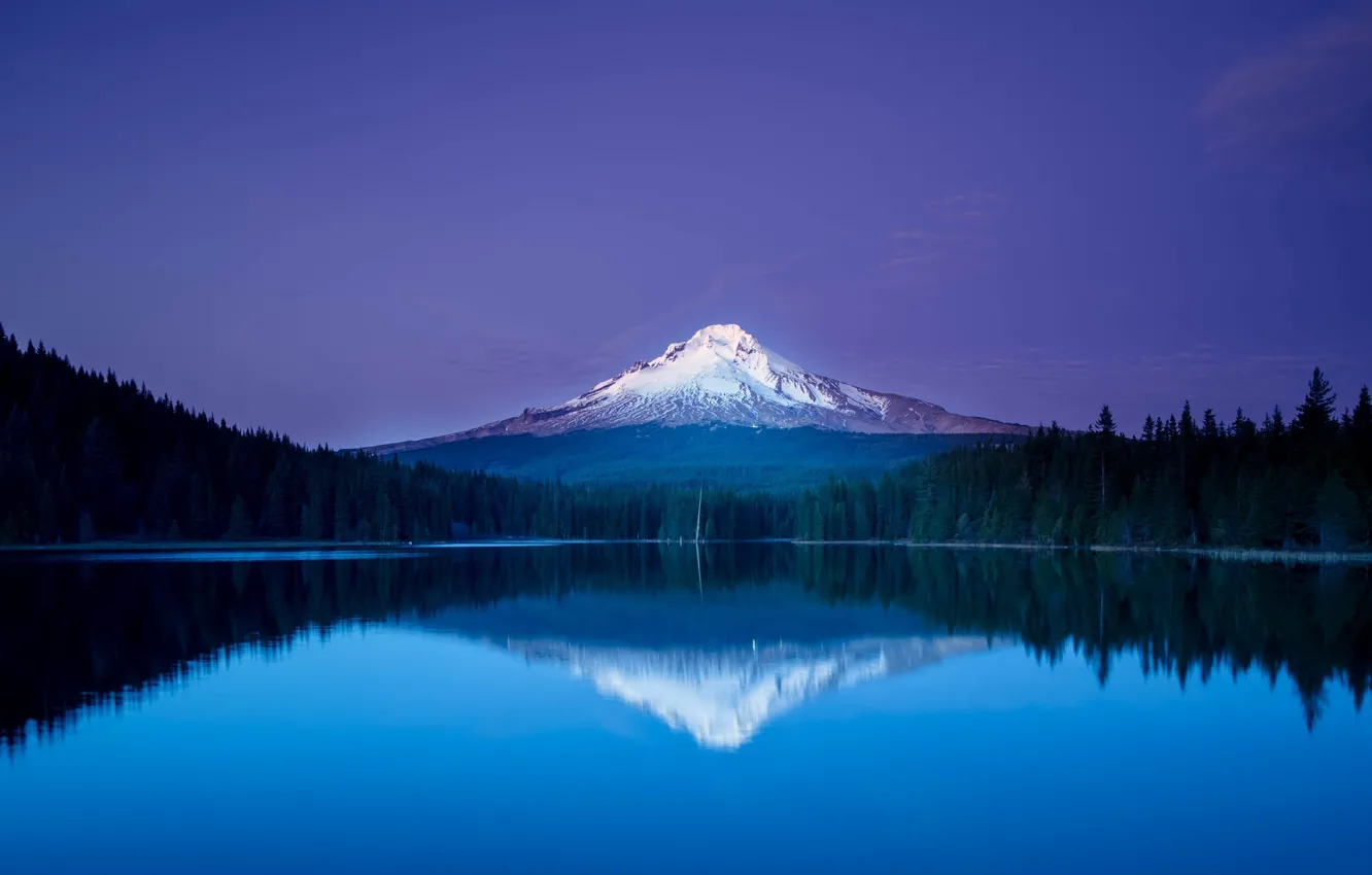 Photo wallpaper trees, night, lake, mountain, trees, the reflection in the water, mountain, lake