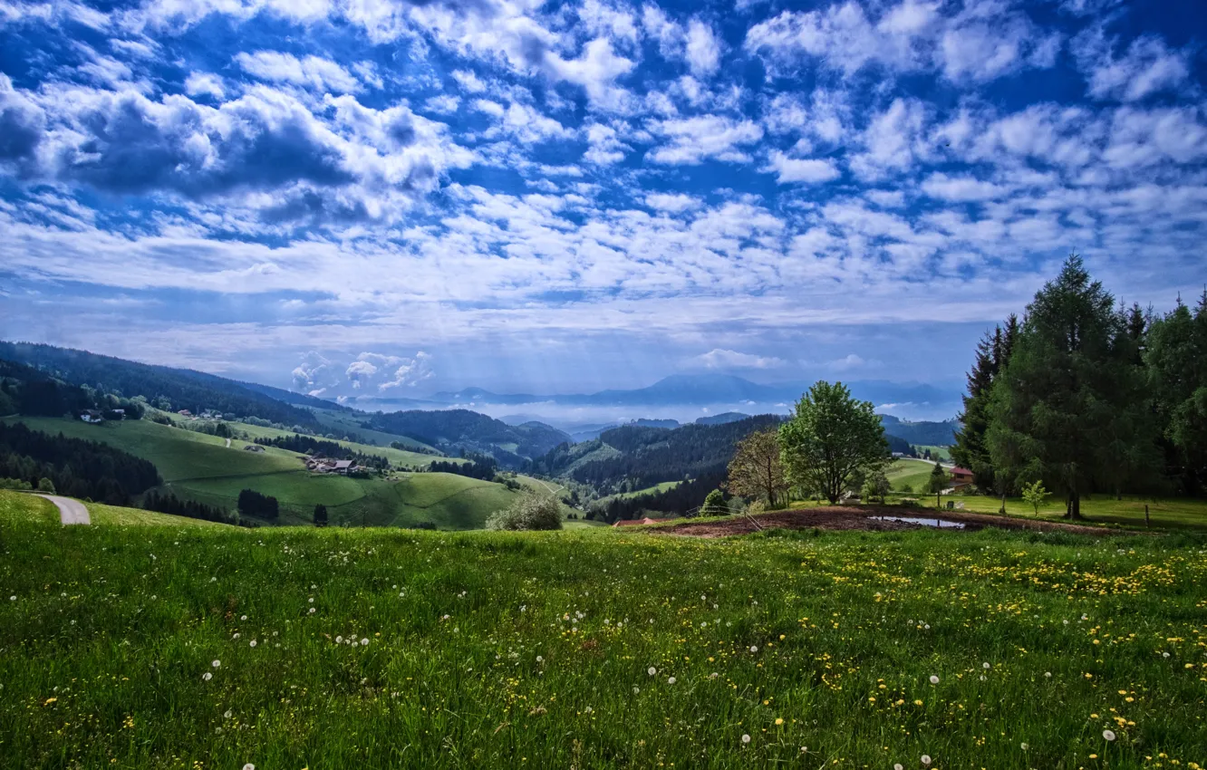 Photo wallpaper road, field, the sky, grass, clouds, flowers, home, valley