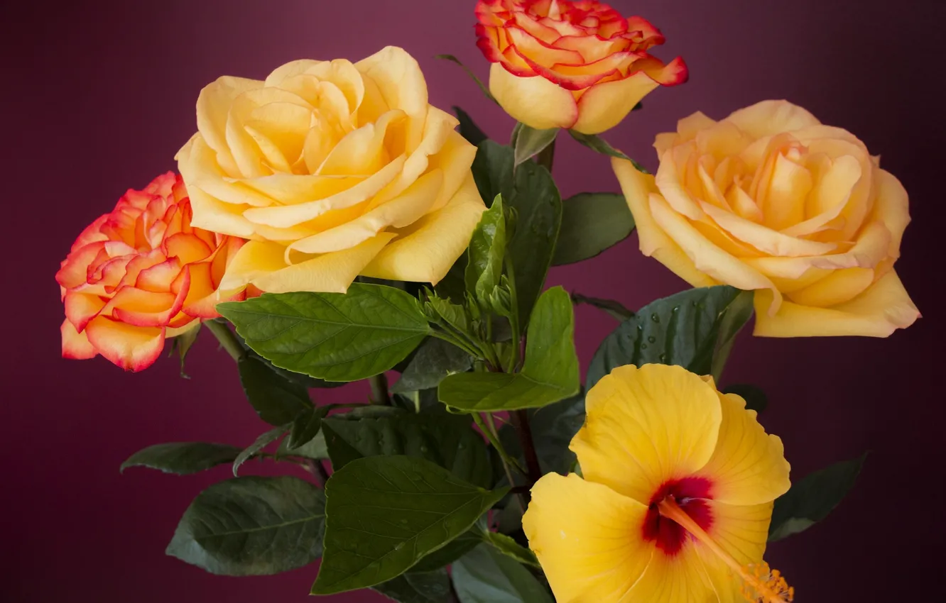Photo wallpaper roses, bouquet, petals, buds, hibiscus