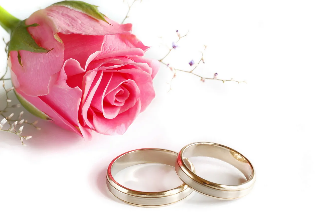 Photo wallpaper rose, ring, wedding