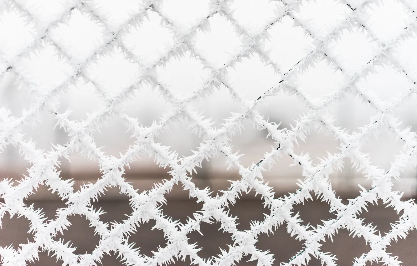 Photo wallpaper winter, frost, snow, mesh, the fence, cold