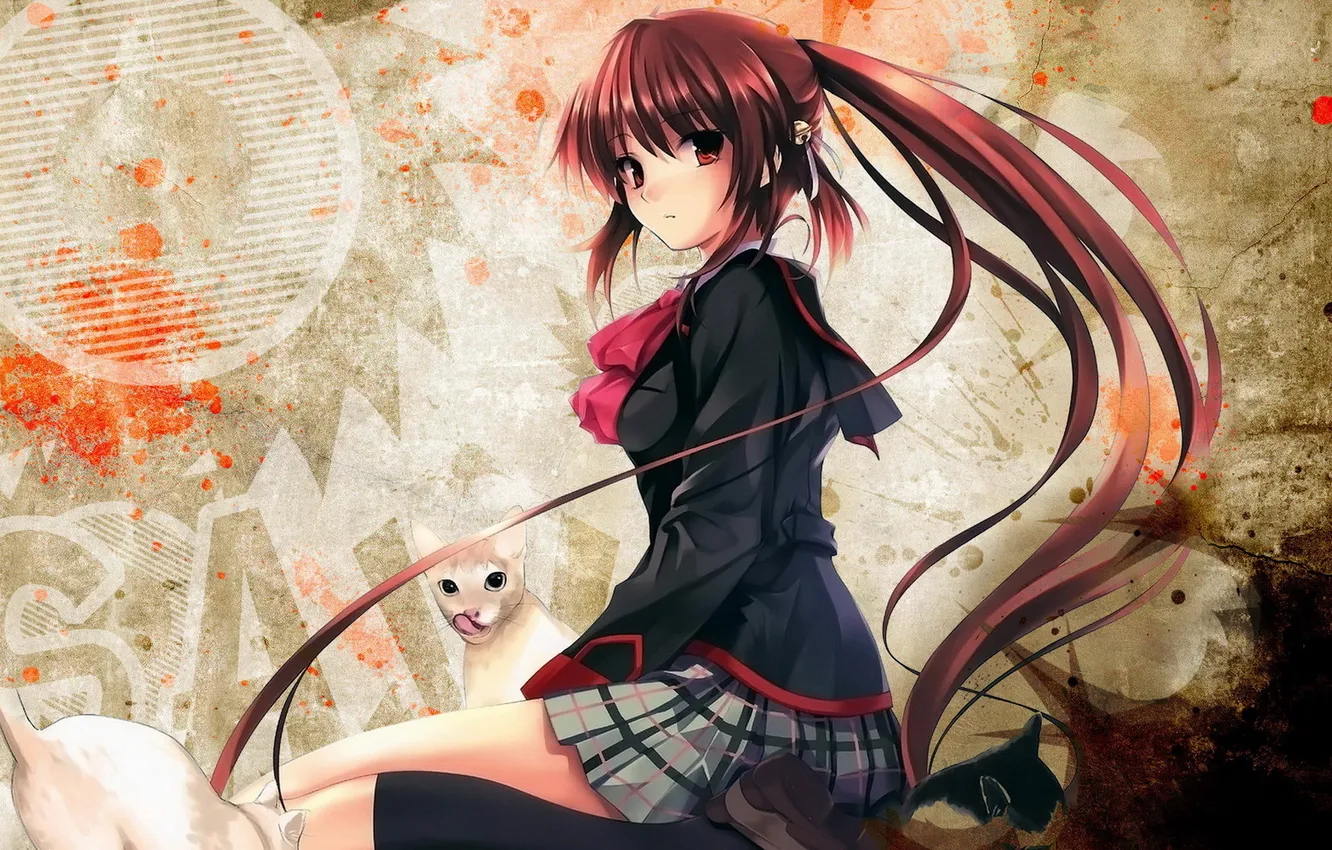 Photo wallpaper cat, girl, anime