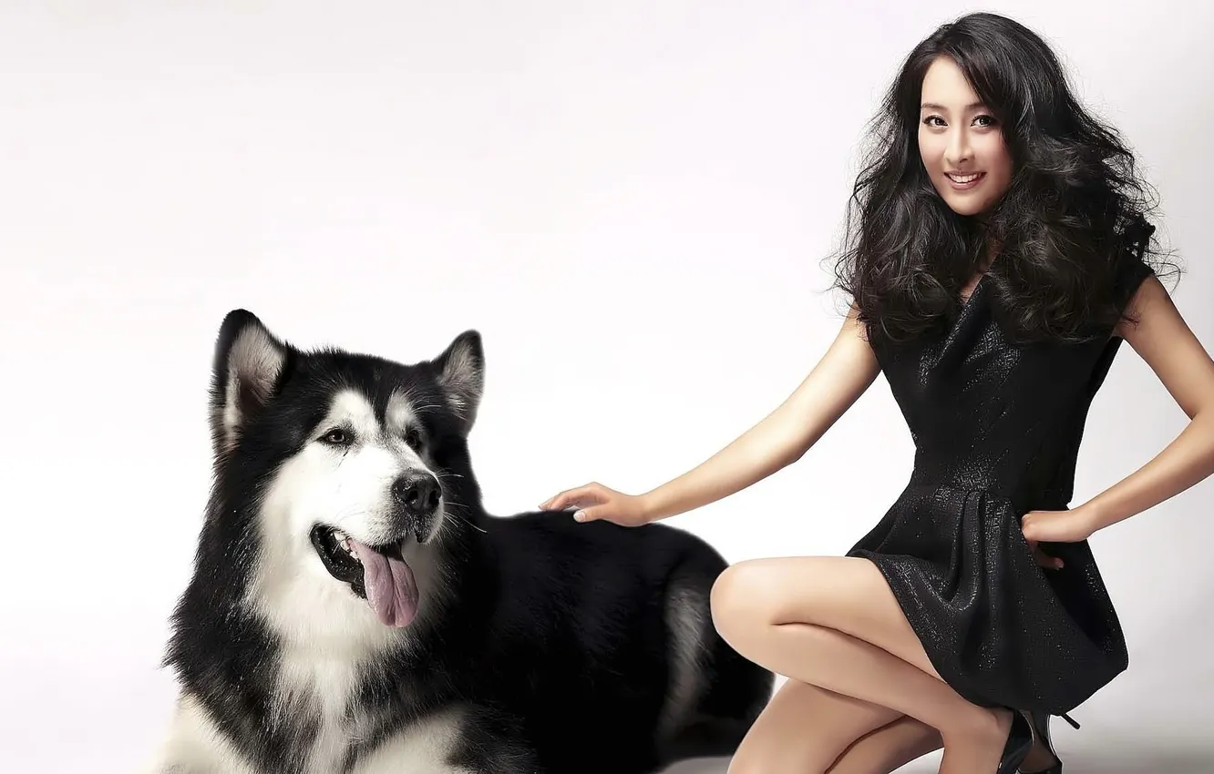 Photo wallpaper girl, photo, dog