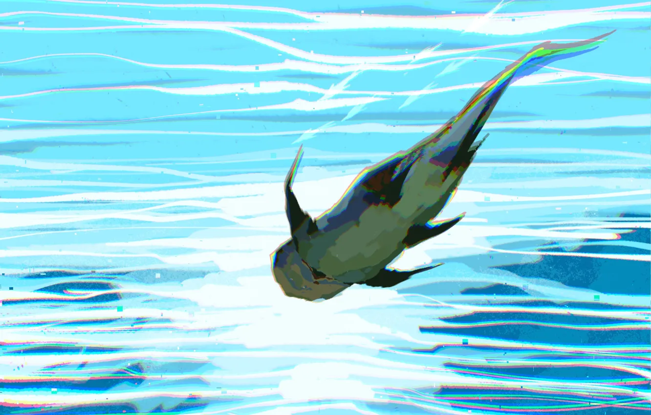Photo wallpaper shark, under water, Fangpeii