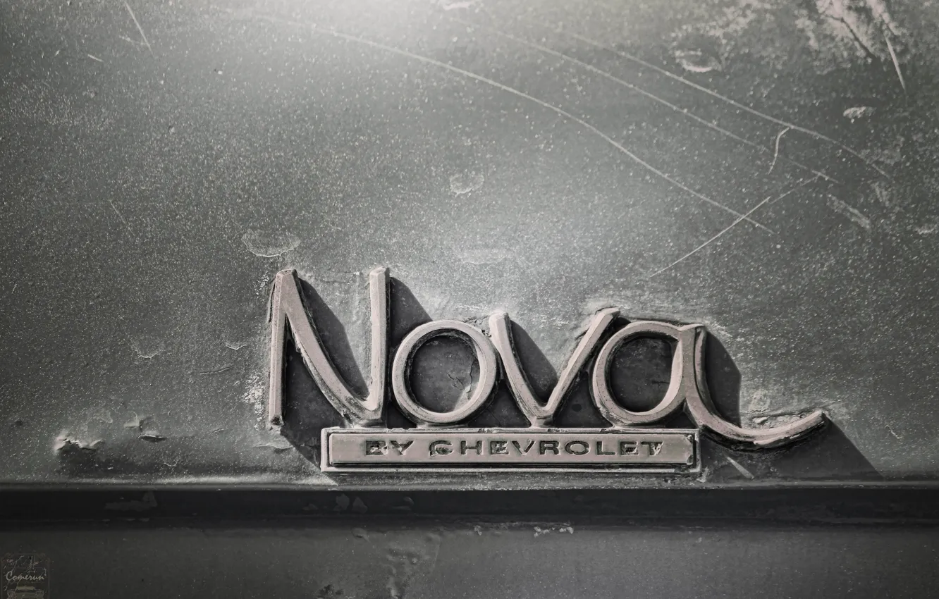 Photo wallpaper Chevrolet, Logo, Nova, Macro, Nameplate