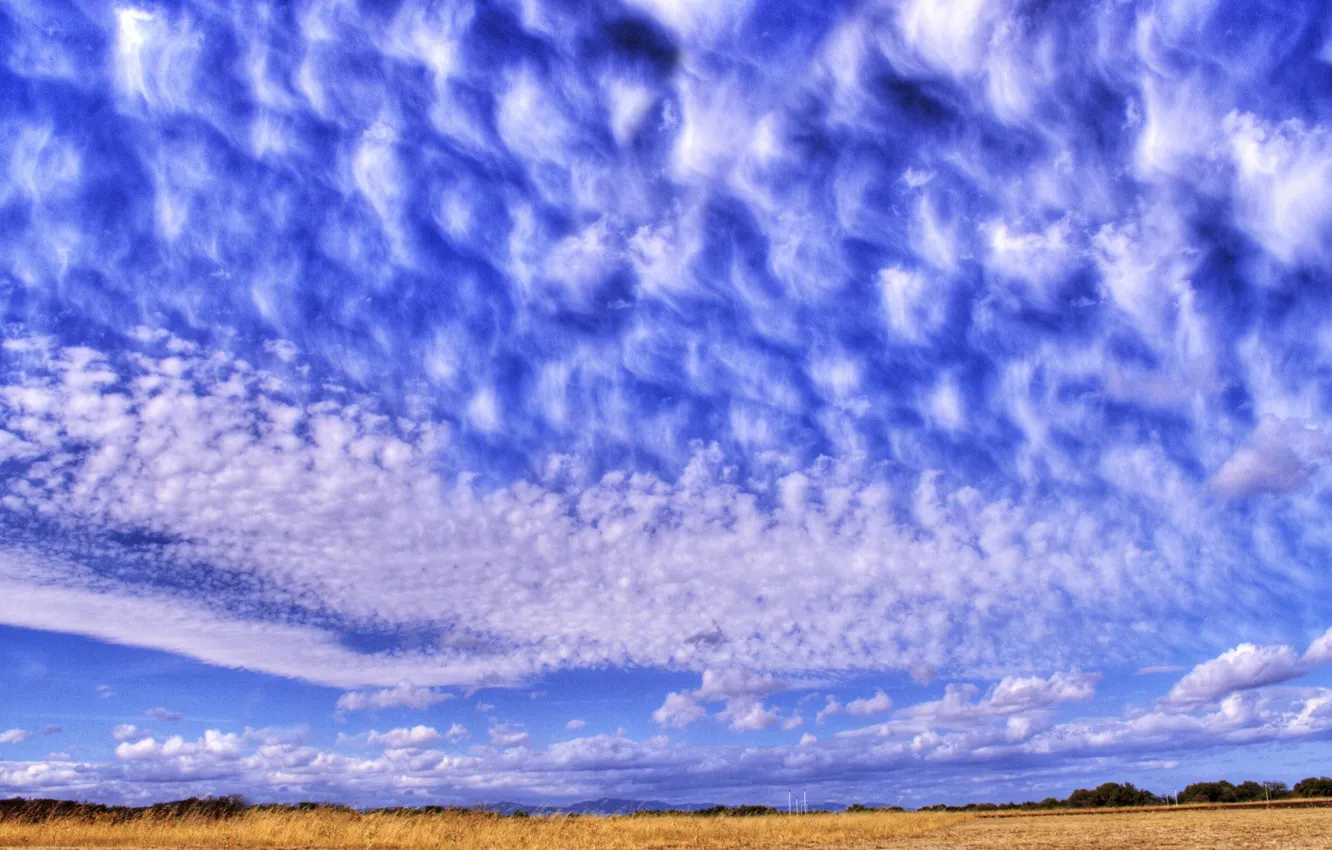 Photo wallpaper the sky, blue, Cirrus clouds