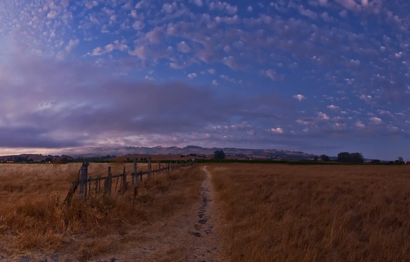 Photo wallpaper field, the sky, the evening