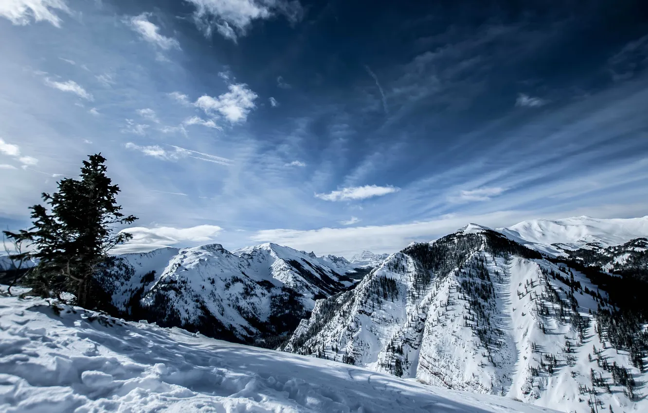 Photo wallpaper winter, forest, the sky, clouds, snow, trees, landscape, mountains