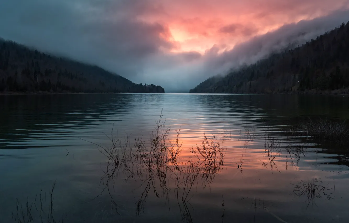 Photo wallpaper forest, the sky, clouds, sunset, mountains, fog, lake, reflection