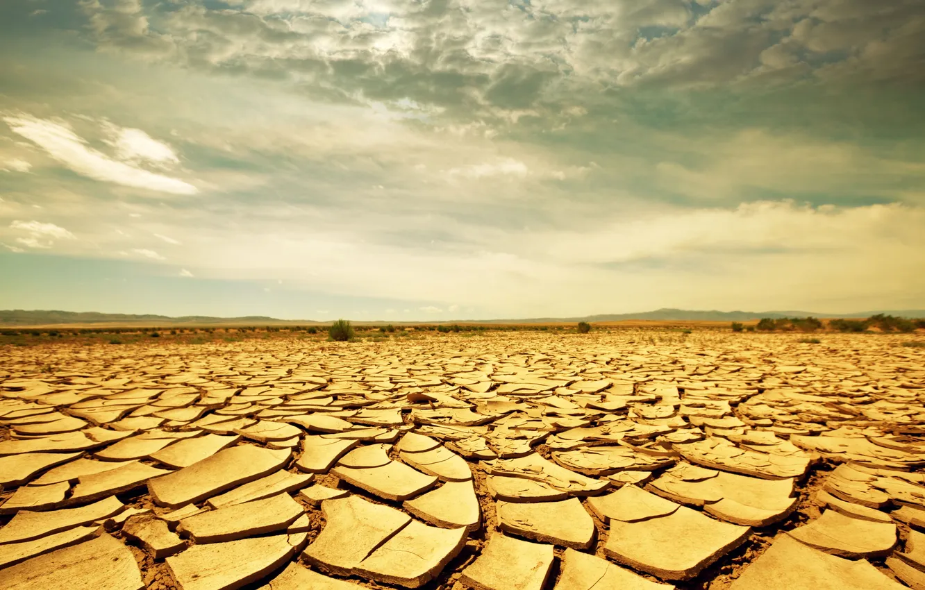 Photo wallpaper sand, cracked, drought, Savannah, Africa, landscape, Savanna, drought