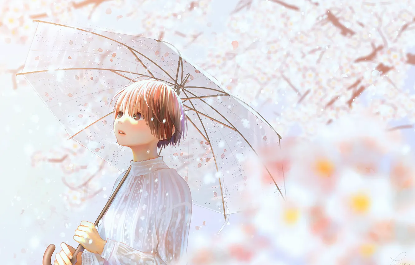 Photo wallpaper girl, spring, umbrella, Sakura