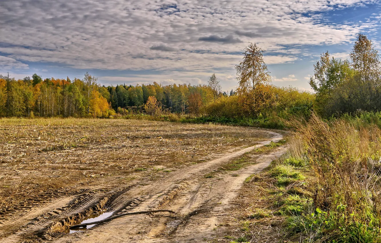 Photo wallpaper road, field, autumn, landscape
