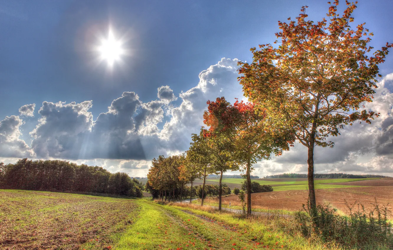 Photo wallpaper road, autumn, the sky, grass, the sun, clouds, rays, trees
