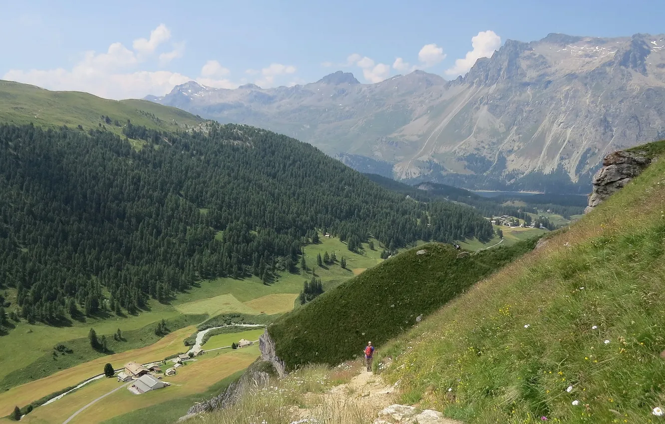 Photo wallpaper greens, mountains, slope