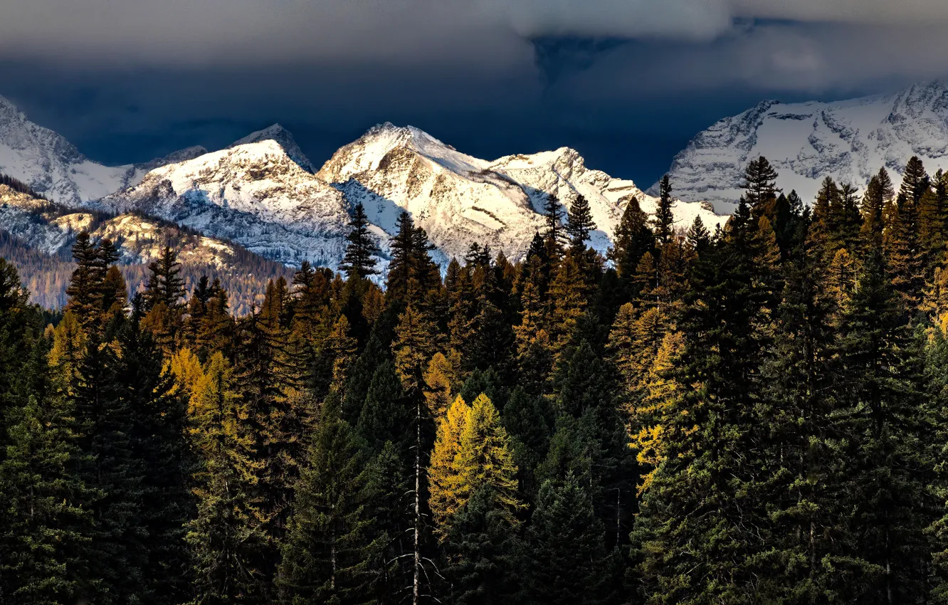 Photo wallpaper autumn, forest, the sky, light, snow, mountains, clouds, tops