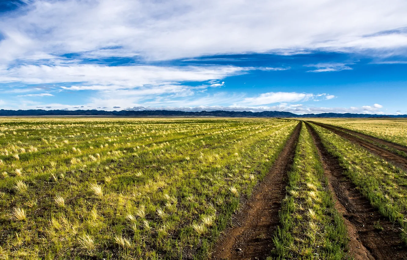 Photo wallpaper road, field, landscape, Mongolia
