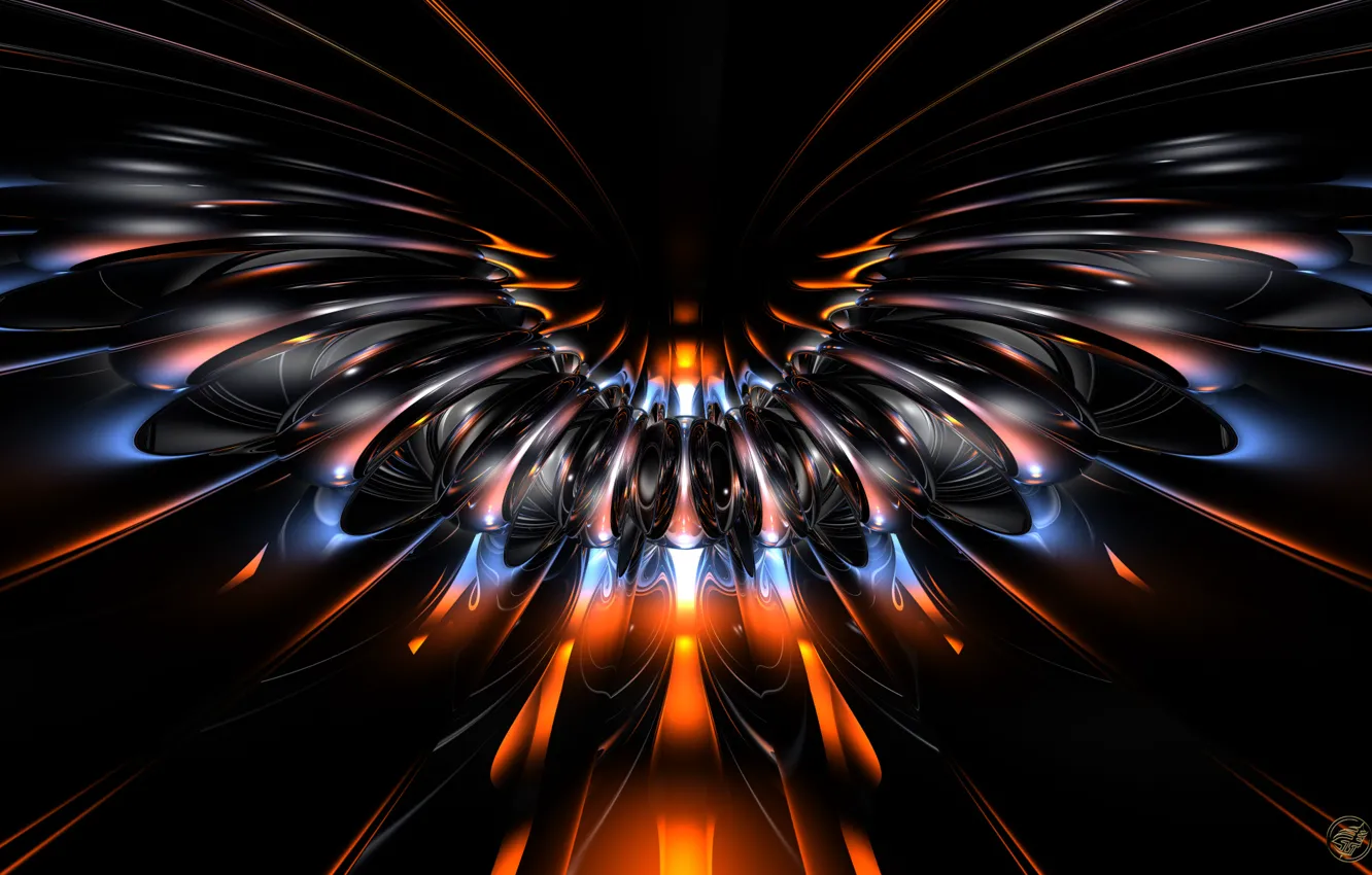 Photo wallpaper rays, wings, Night Flyer