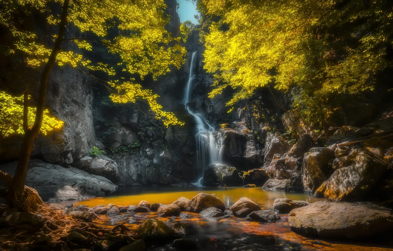 Photo wallpaper autumn, light, trees, stones, rocks, branch, shore, waterfall