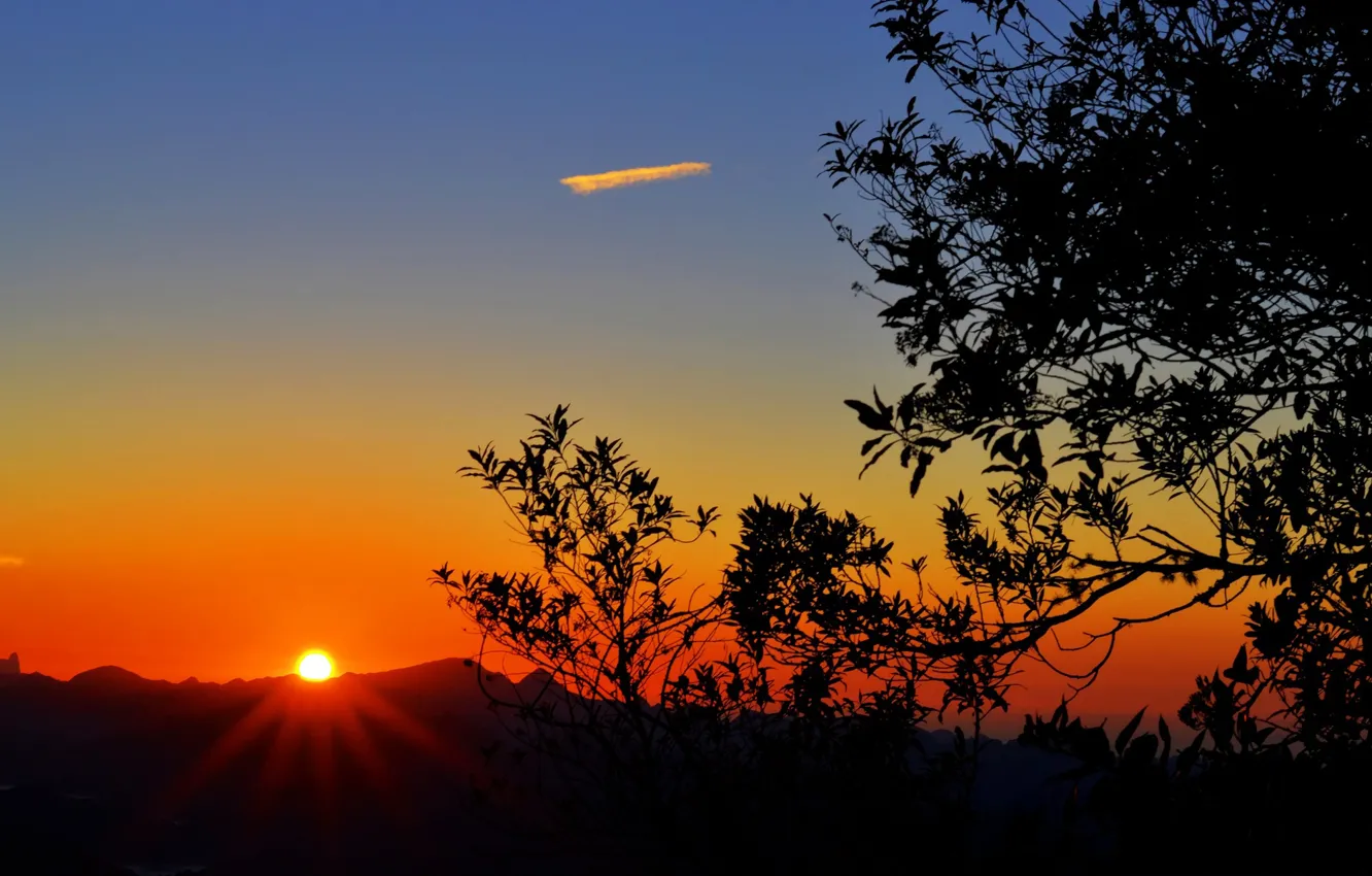 Photo wallpaper the sun, trees, mountains, sunrise, dawn, silhouette