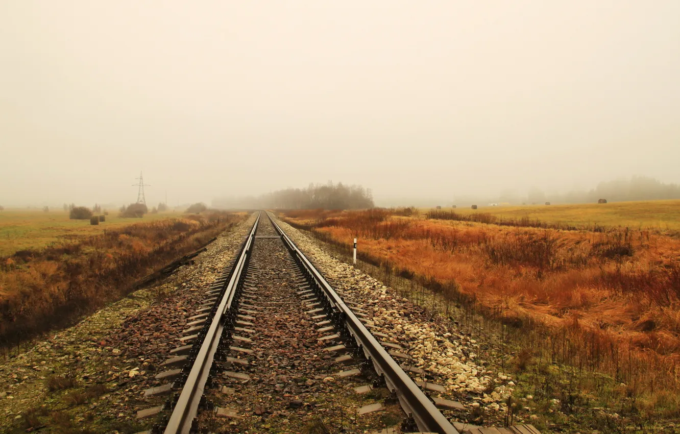 Photo wallpaper road, field, fog